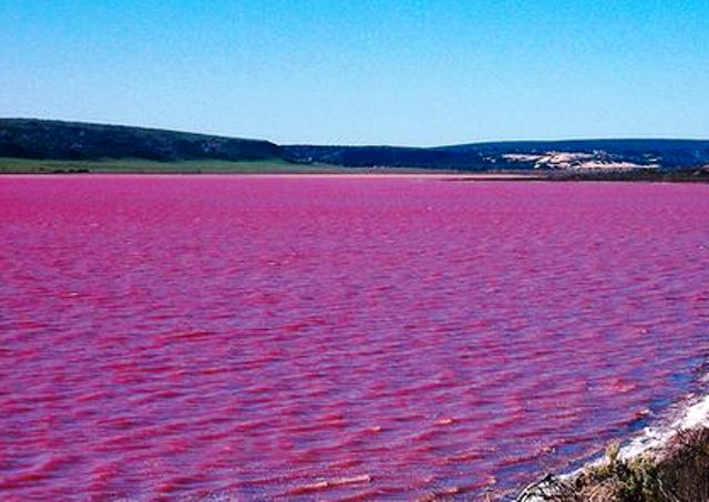 Pink-Lake-Hillier-Australia